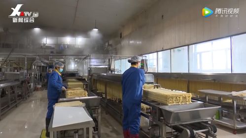 苏氏豆业 设备更新换代 助力生产提质增效