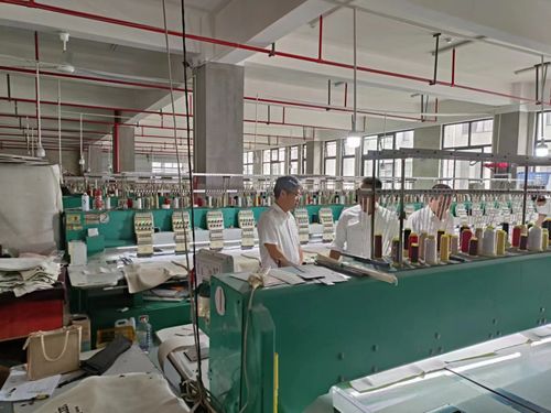 望江县漳湖镇 优化营商 软环境 增强发展 硬实力
